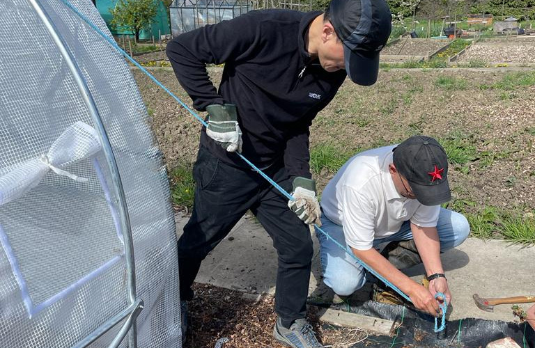 Allotment