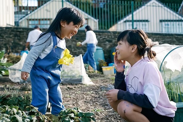 5b.jpg